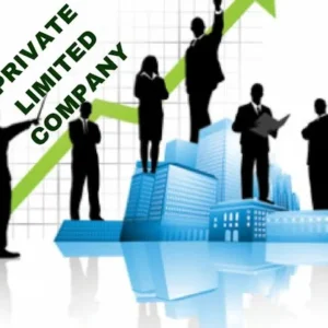 Private Limited Company (Ltd) Formation